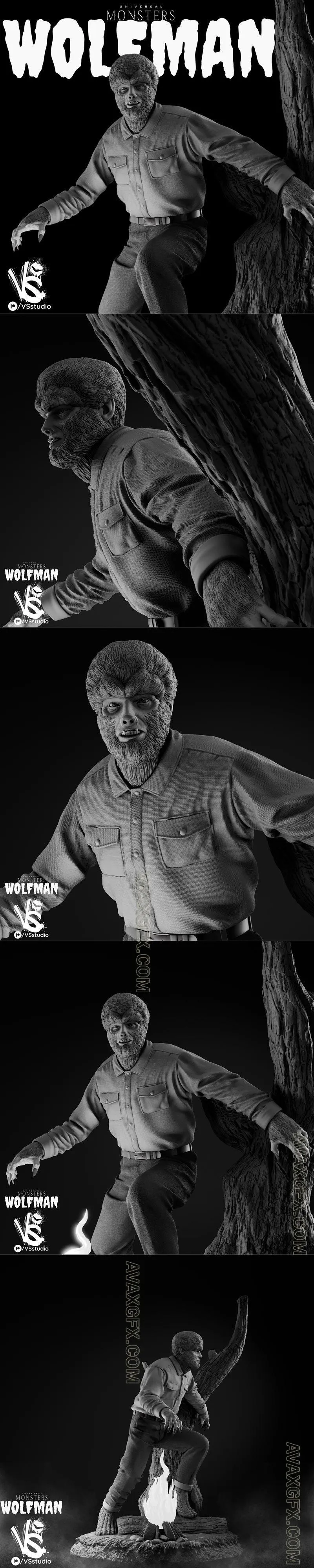 VS3D - WolfMan - STL 3D Model