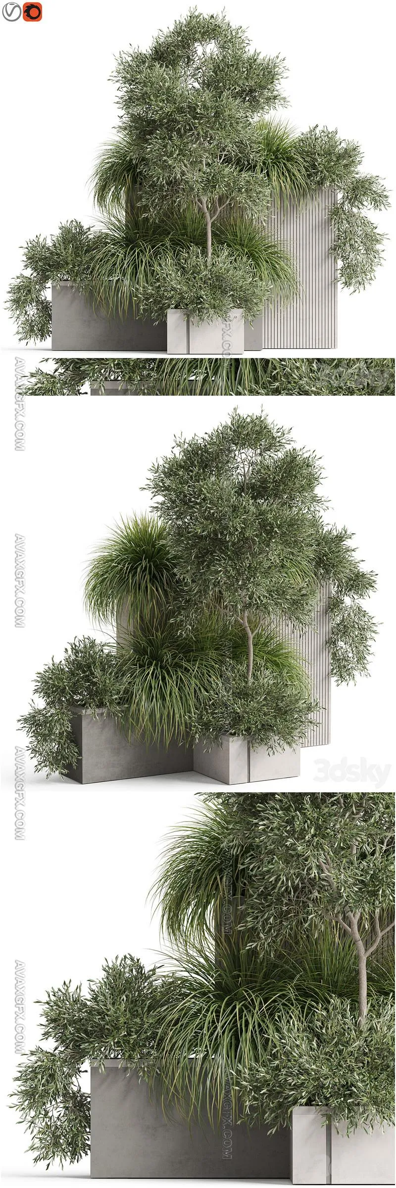 Plants collection 770 - 3D Model