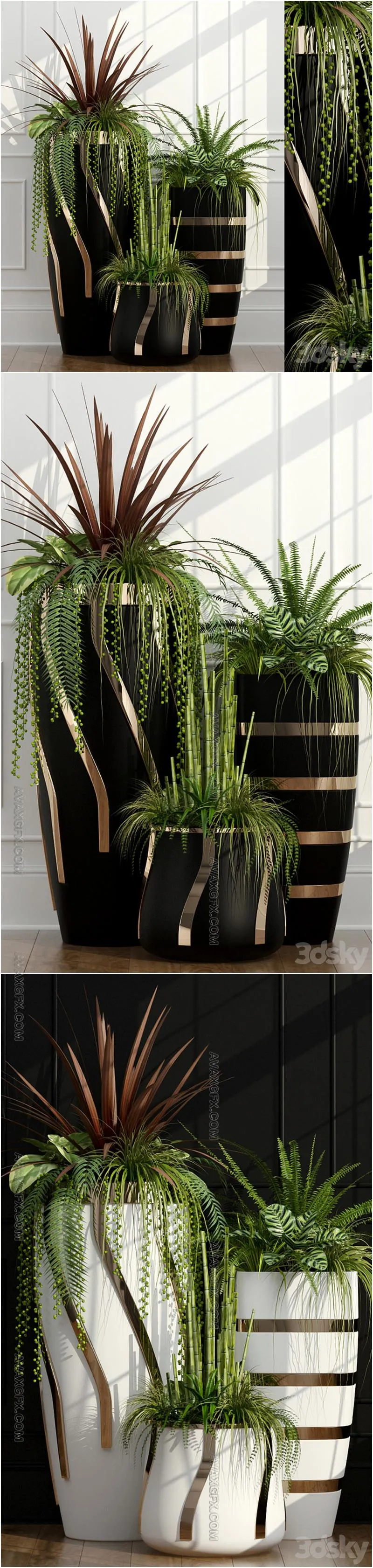 Room plants 15 - 3D Model