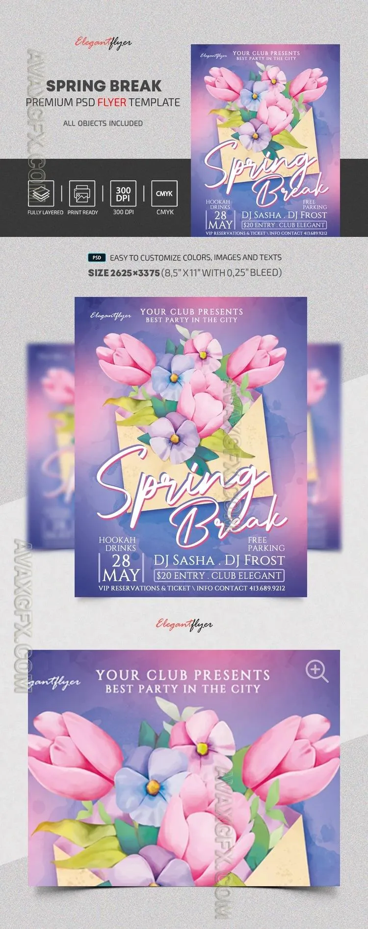 Spring Break Flyer - Premium Flyer template (PSD)