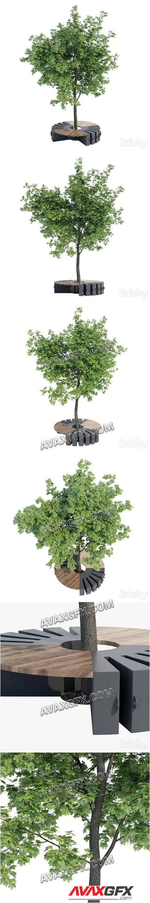 Round B - 3D Model