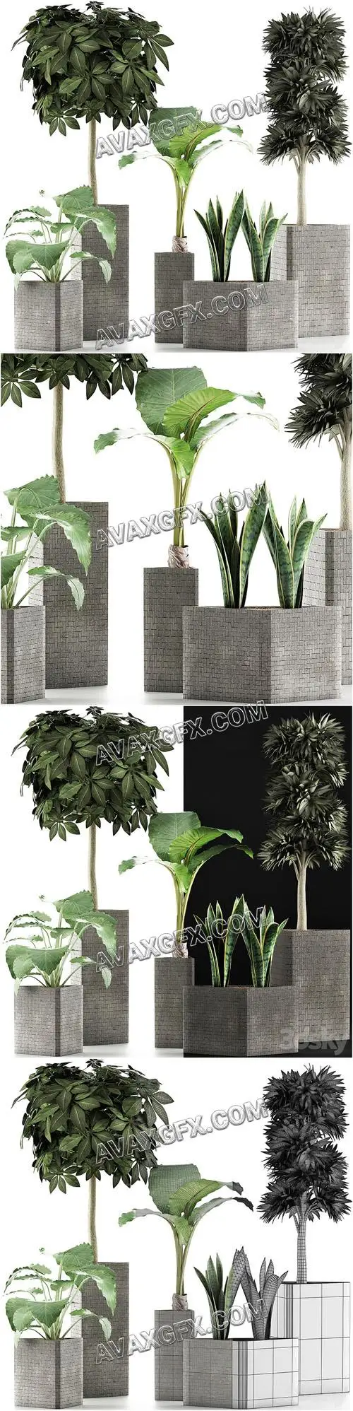 Plants Collection 39 - 3D Model