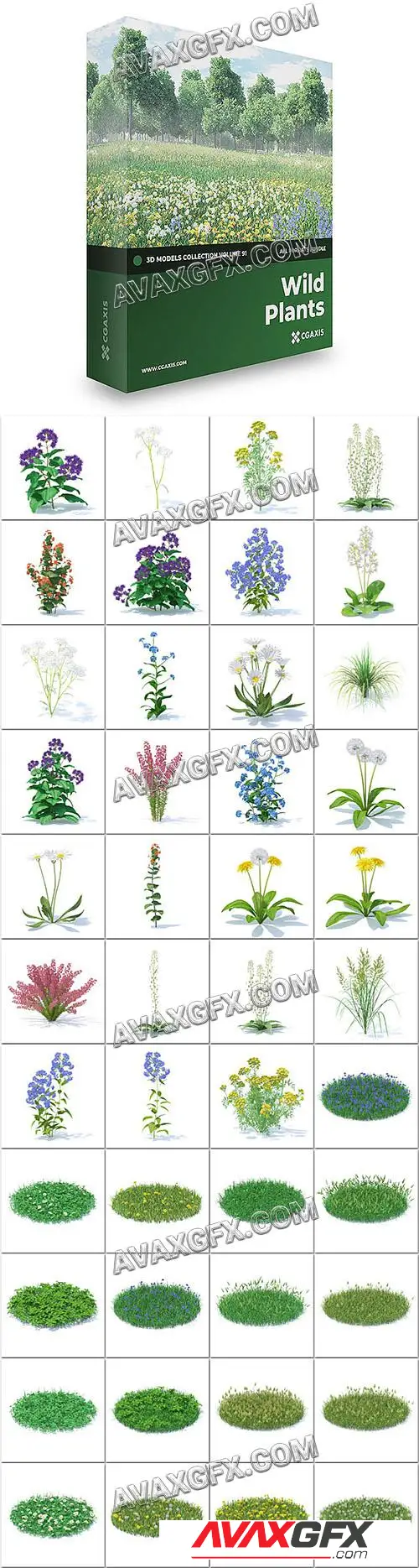 Wild Plants 3D Models Collection – Volume 91