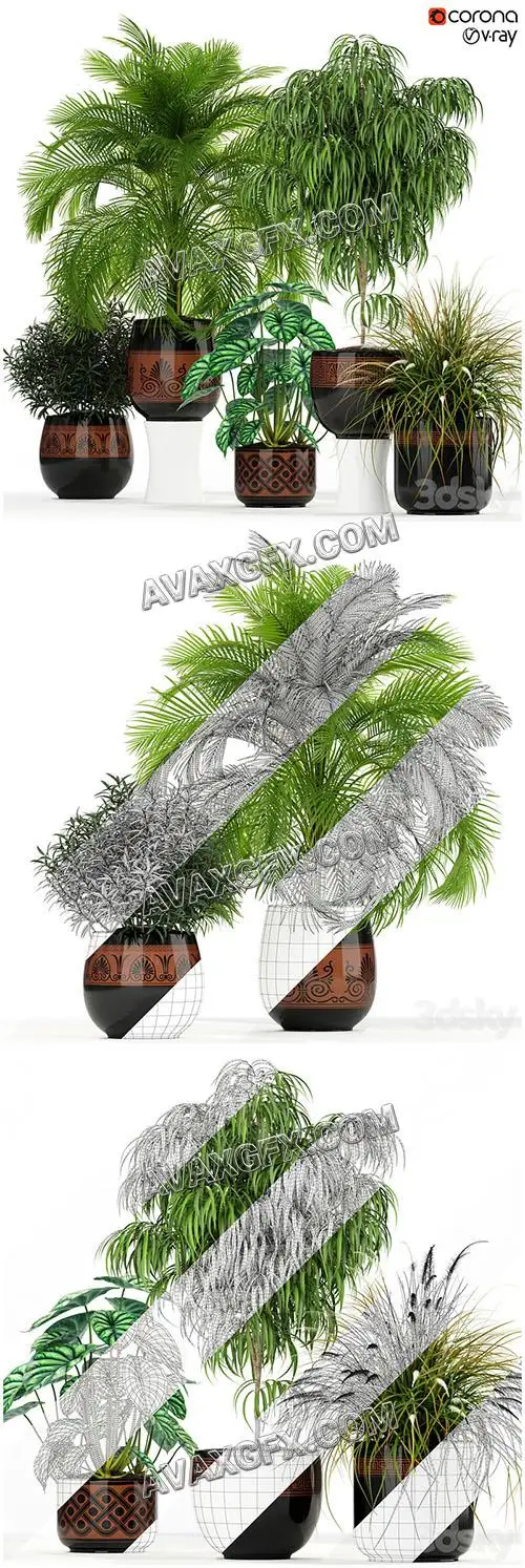 Plants collection 182 - 3D Model