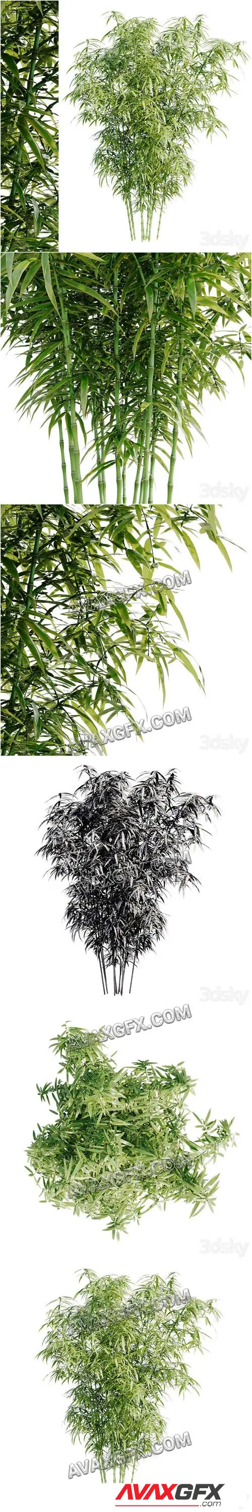 Bamboo Bush - 3D Model