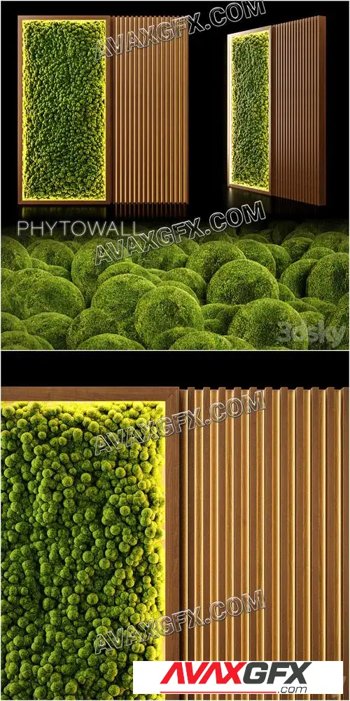 PhytoWall - 3D Model