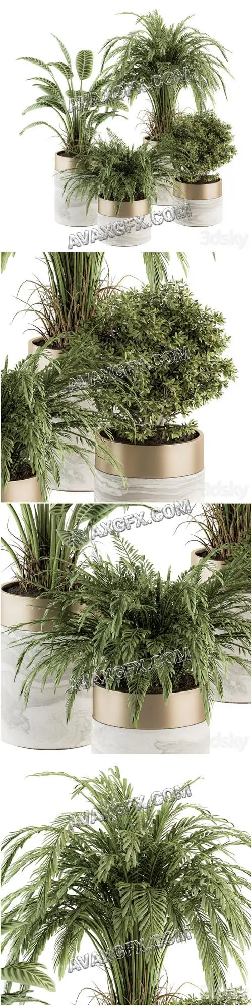 indoor Plant Set 245 - Plant Set in pot - 3D Model