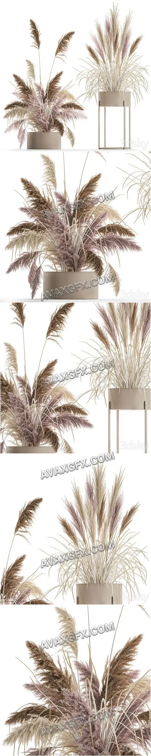 Wedding bouquet composition of pink dried flowers in a vase with Pampas grass, Cortaderia, veynik. 192 - 3D Model