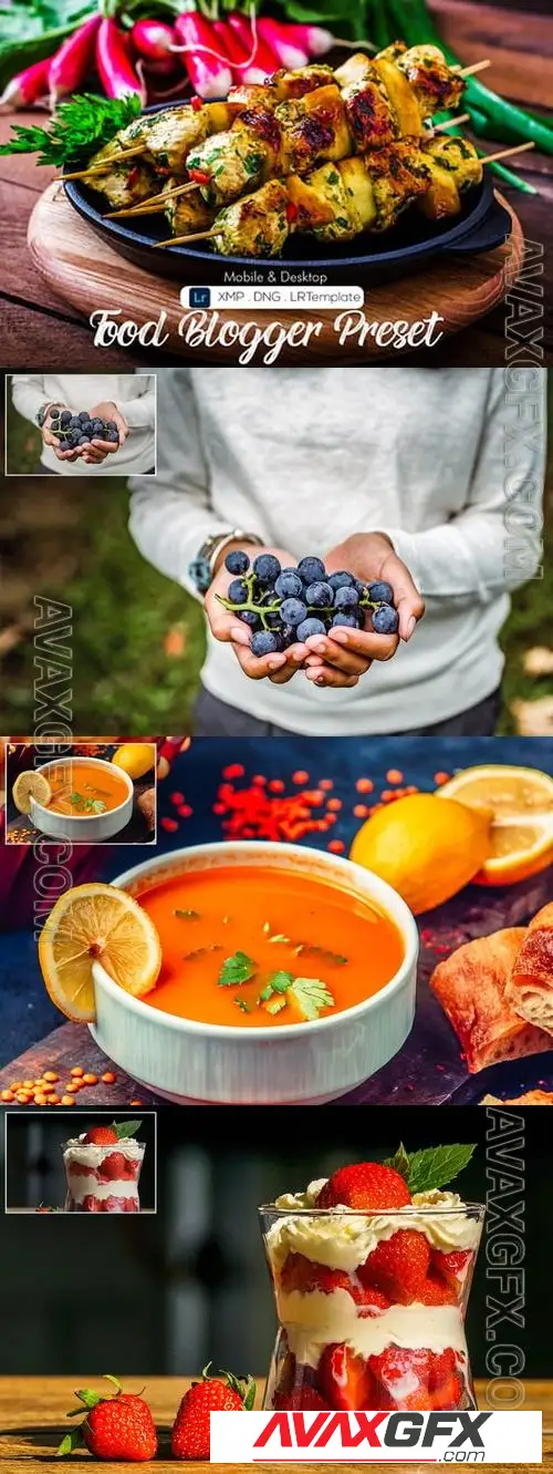 Food Blogger Presets AXZEEX9