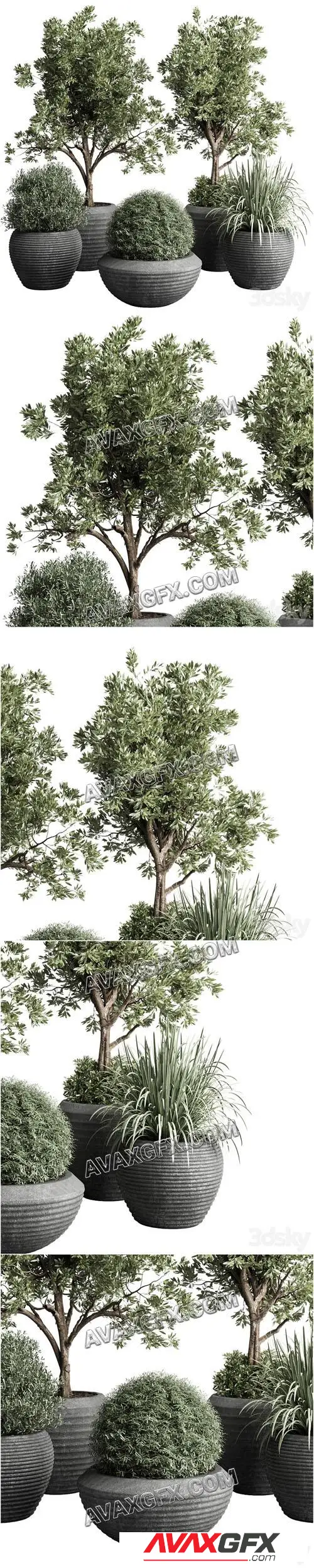 Collection indoor outdoor plant 120 plant tree grass vase dirty concrete - 3D Model