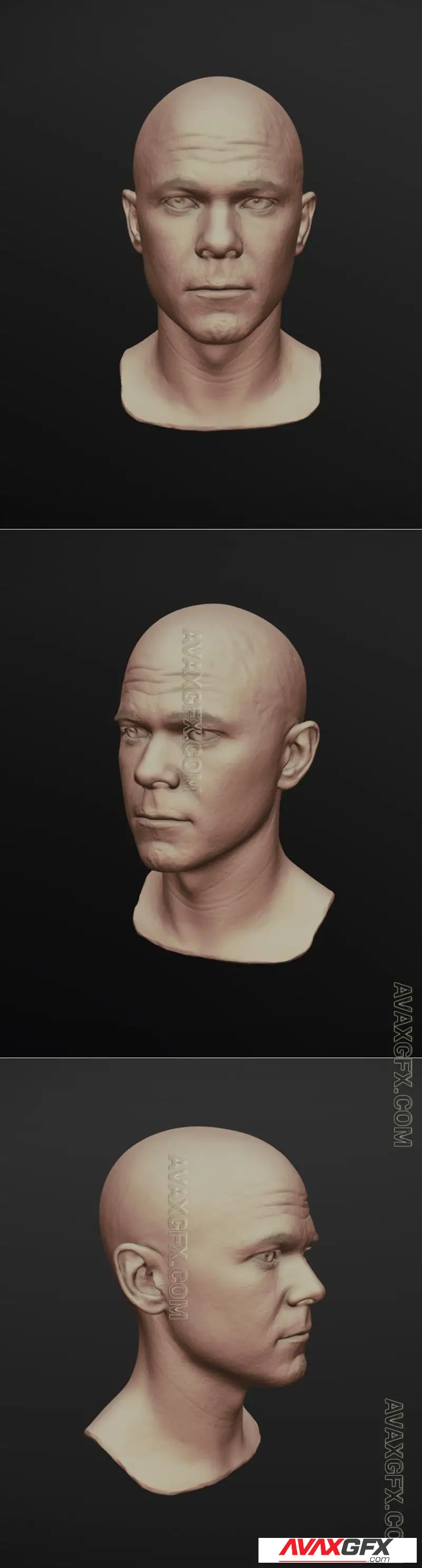 Realistic Female Head - STL 3D Model
