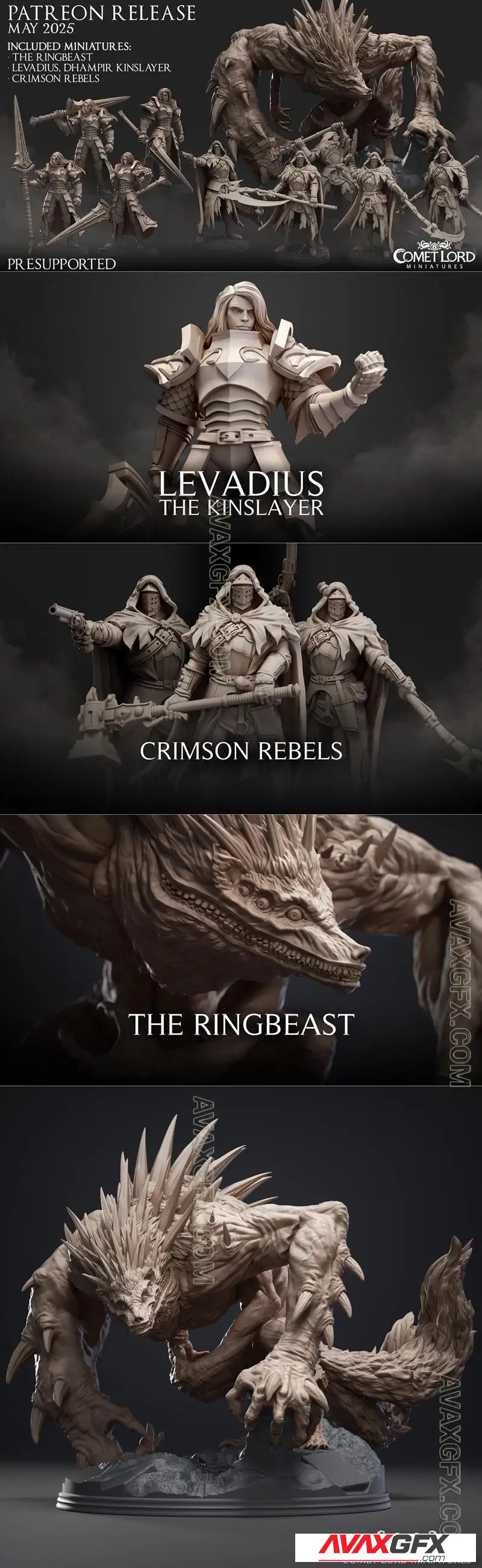 Comet Lord Miniatures May 2025 - STL 3D Model