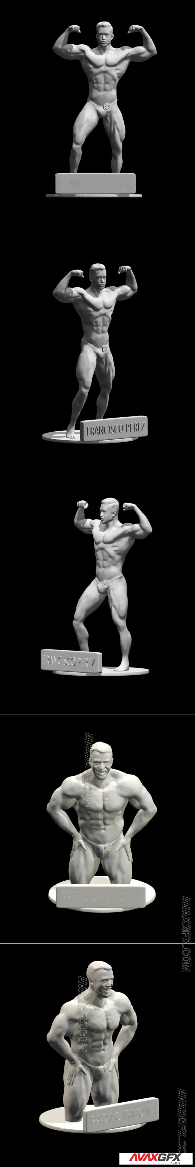 Francisco Perez and Carmona Web - STL 3D Model
