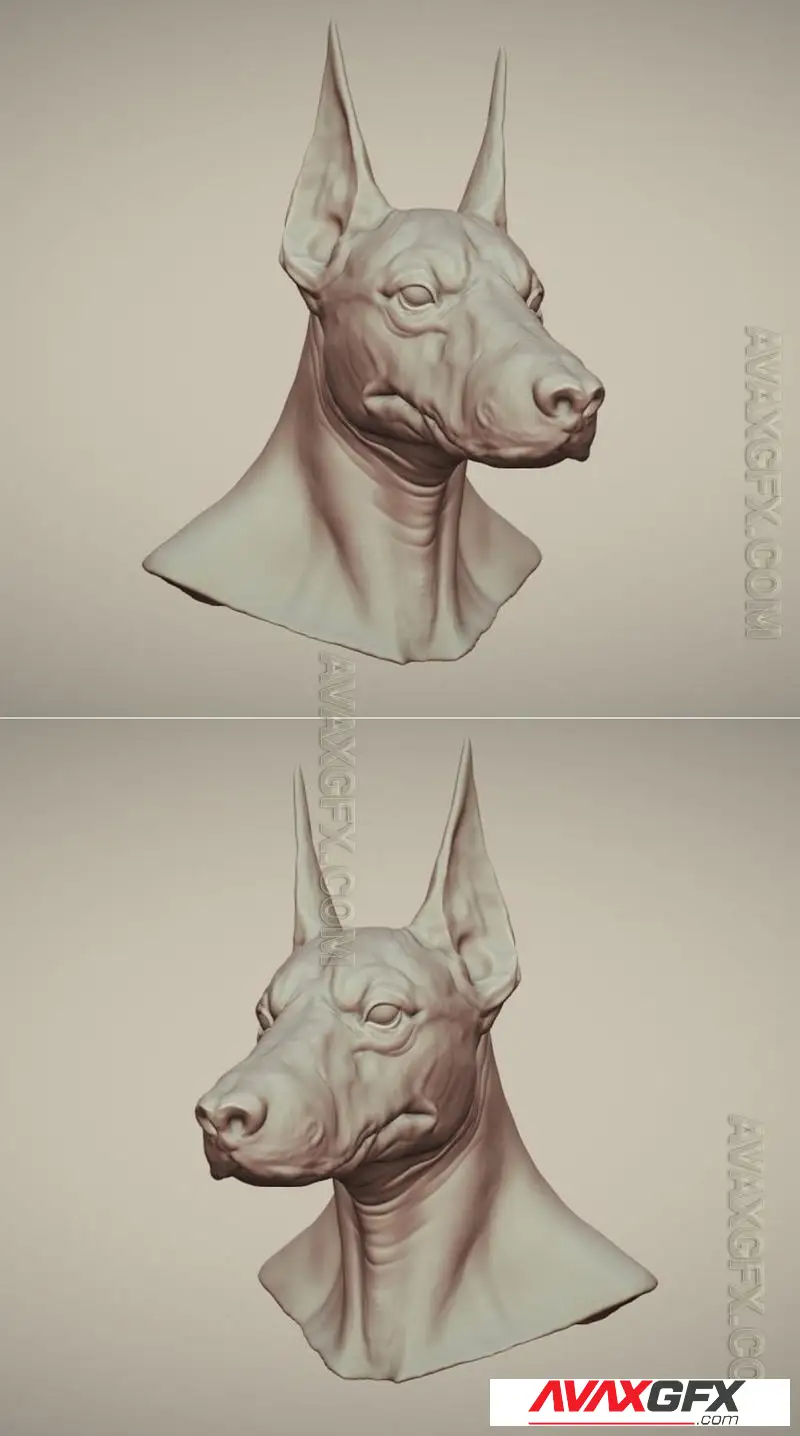Anubis Head - STL 3D Model
