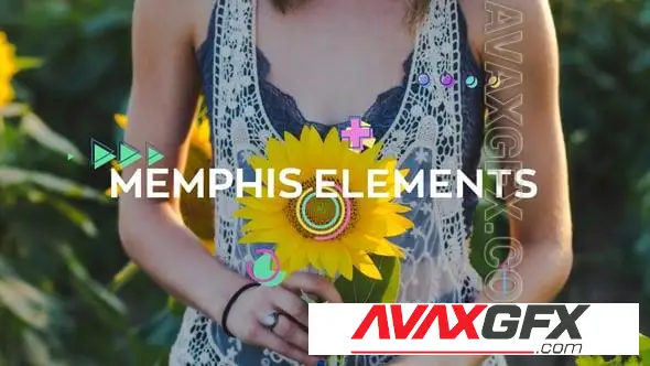 Memphis Elements 57971409 Videohive