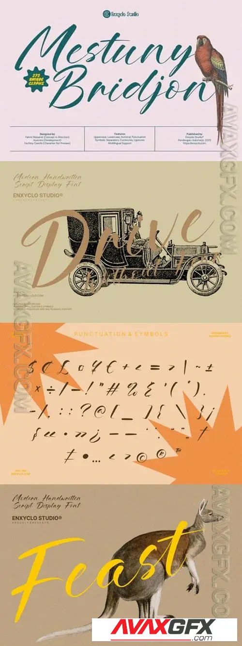 Mestuny Bridjon вЂ“ Modern Brush Script Font DL4HW7A