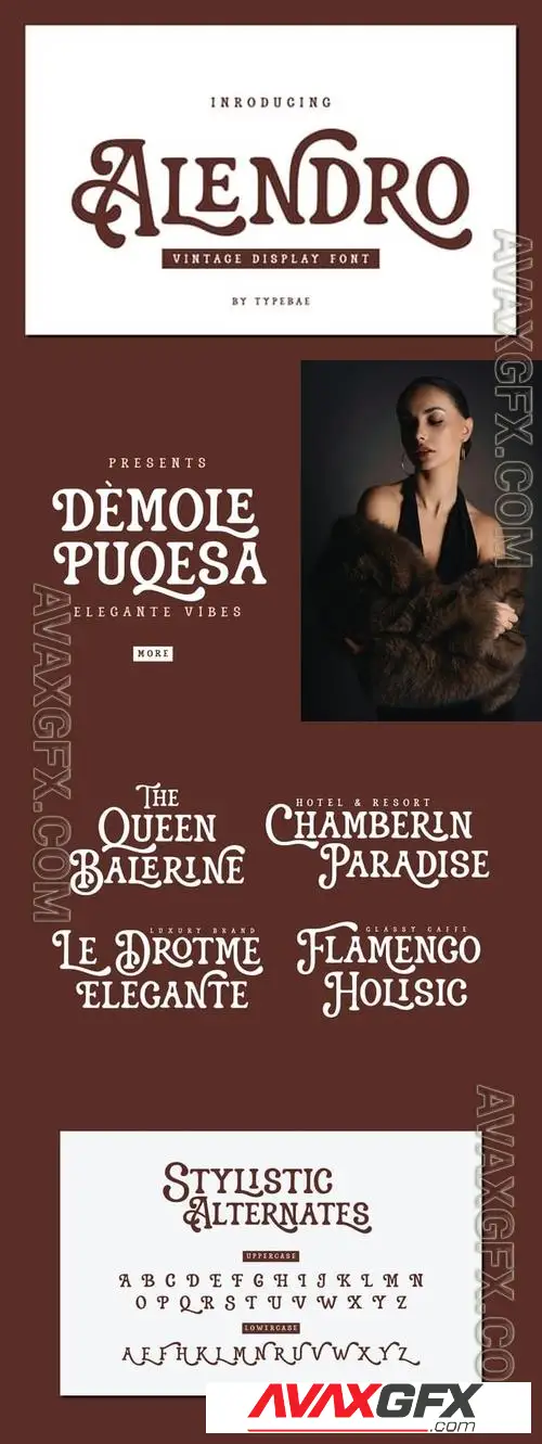Alendro - Vintage Display Font WSHQJAL