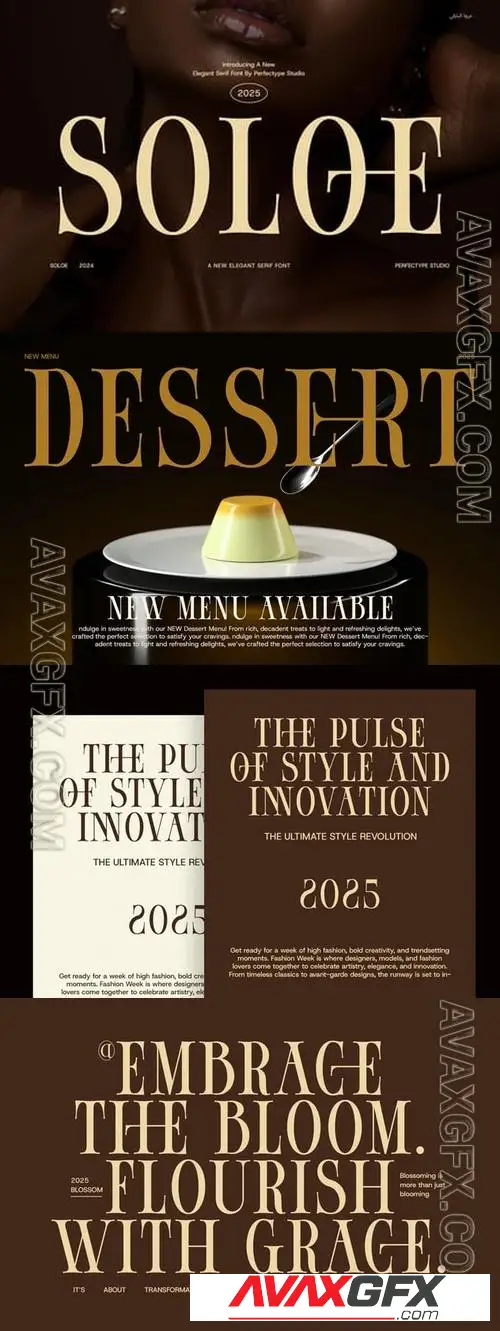 Download Soloe Elegant Serif Font TEN8KWX