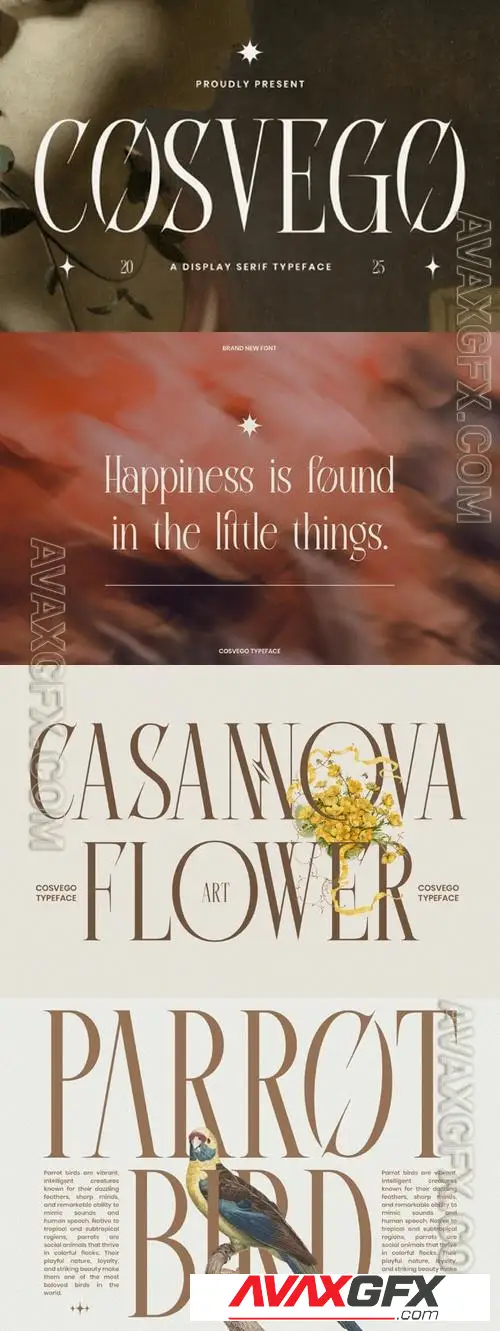 Cosvego Display Serif Font XGSFNNS