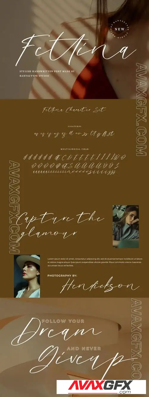 Fettina Stylish Handwritten Font B798WGB
