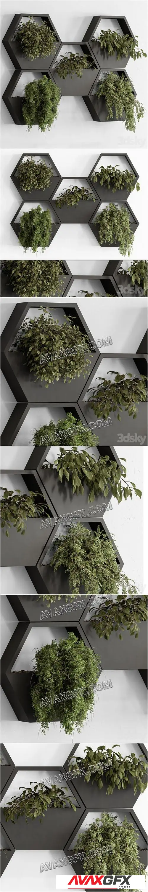 indoor Plant 536 - Hanging Plants - 3D Model