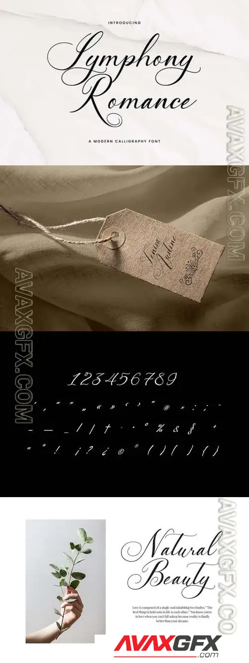 Symphony Romance Modern Caligraphy Font Q9QA5M6