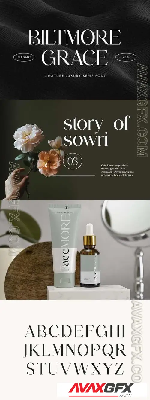 Biltmore Grace Elegant Serif Font ZF7AU59