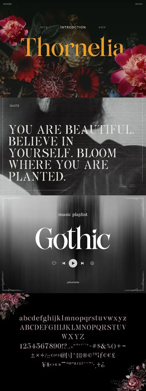 Download Thornelia Elegant Gothic Serif Font 96XV5N6