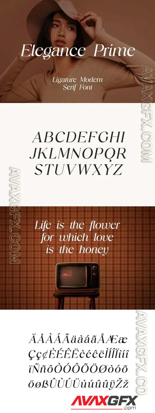 Elegance Prime Modern Serif Font ZQBBETL