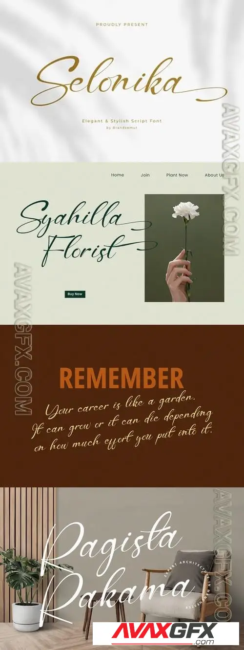 Selonika вЂ“ Handwritten Script Font 69RDHJN