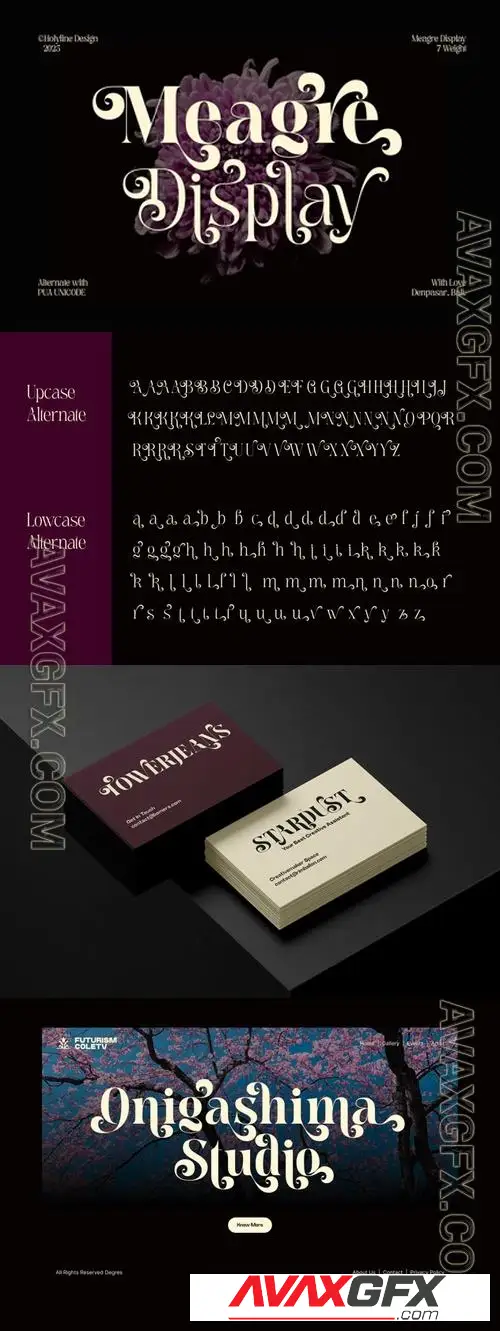 Meagre Display - 90s Perfectly Stylish Typeface HTR3X4Z