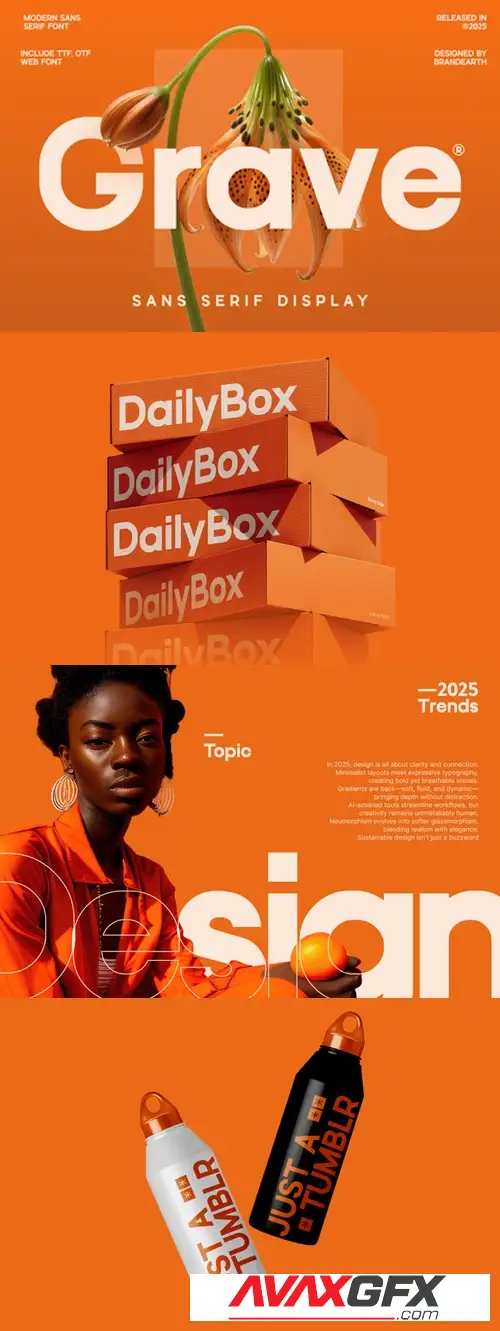 Download Grave Modern Sans Serif Font FGV9EMM