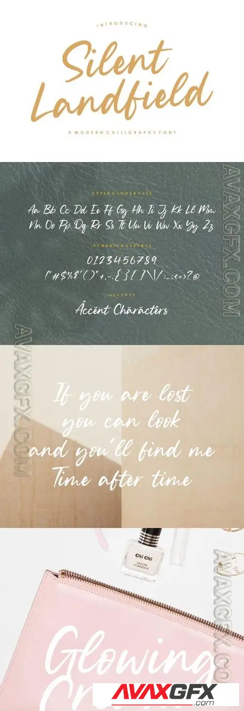 Silent Landfield - Modern Calligraphy Logo Font 3EMJLJK