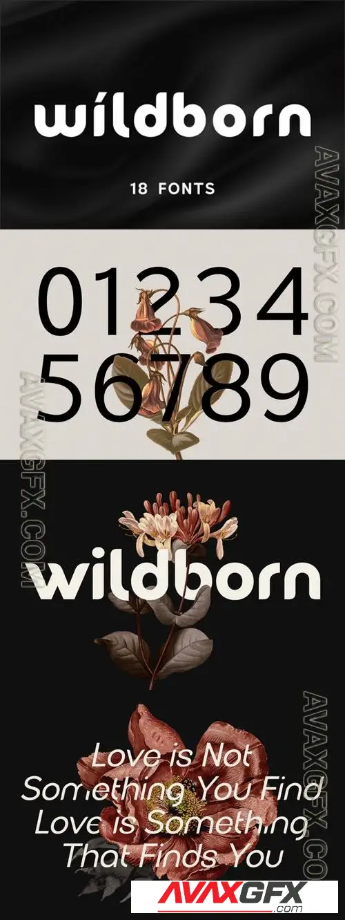 Wildborn - Logo Font C4TPTTG