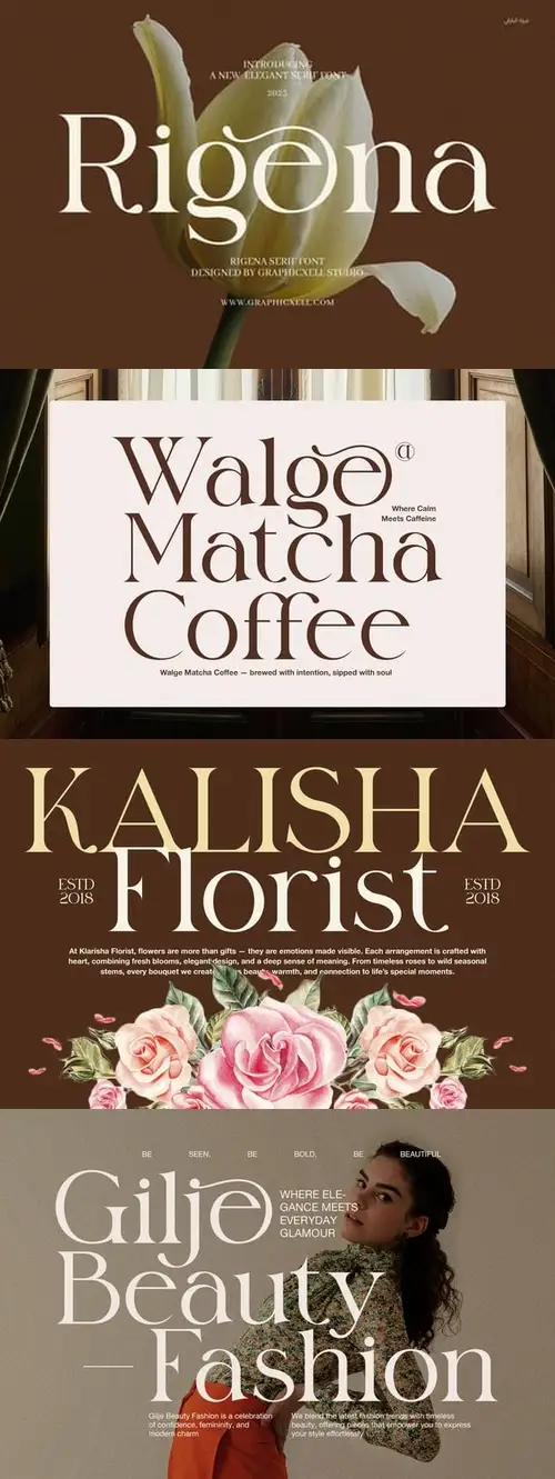 Download Rigena Elegant Serif Font YVNPM7D