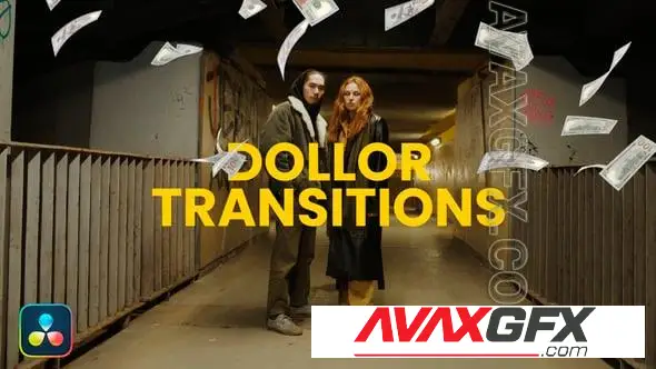 Dollar Money Transition DR 58031999
