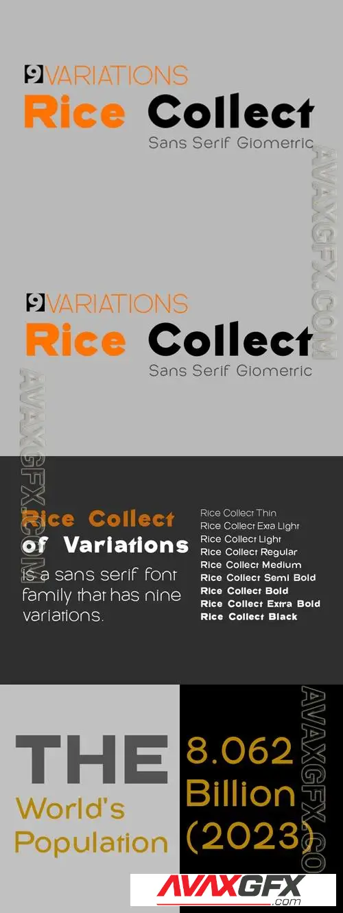 Rice Collect // Family Font Sans Serif AGBUULG