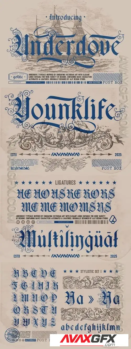 Underdove Typeface F6F92GT