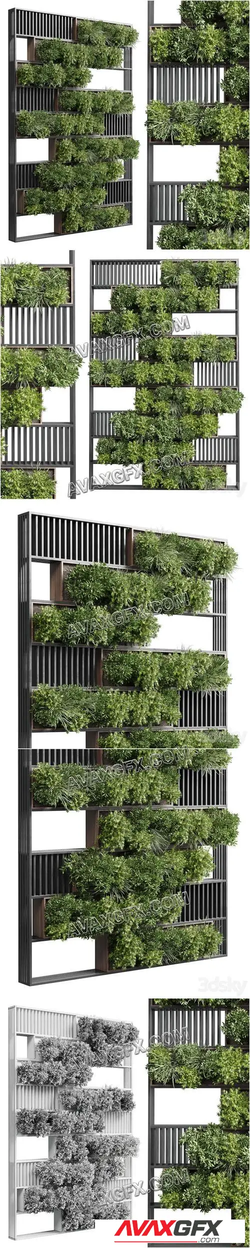 Plants set partition in wooden frame - Vertical graden wall decor box 35 - 3D Model