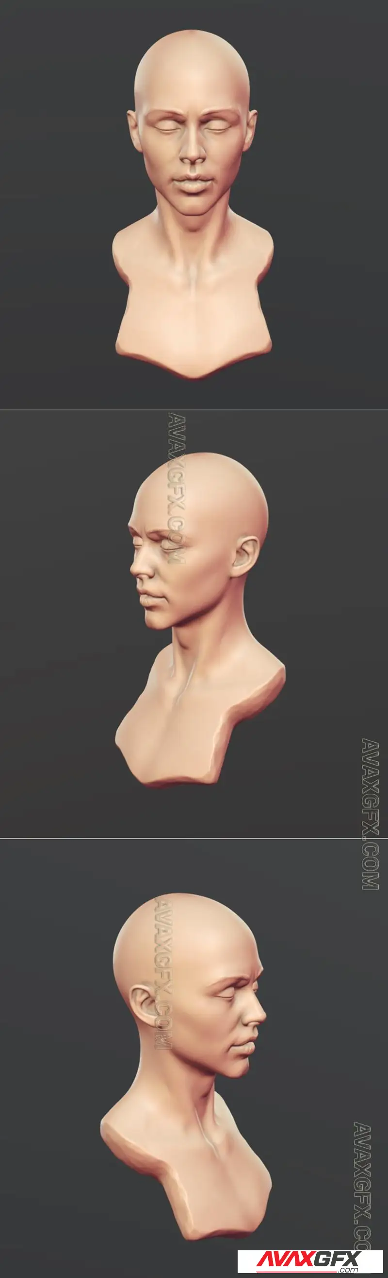 Female Bust - STL 3D Model