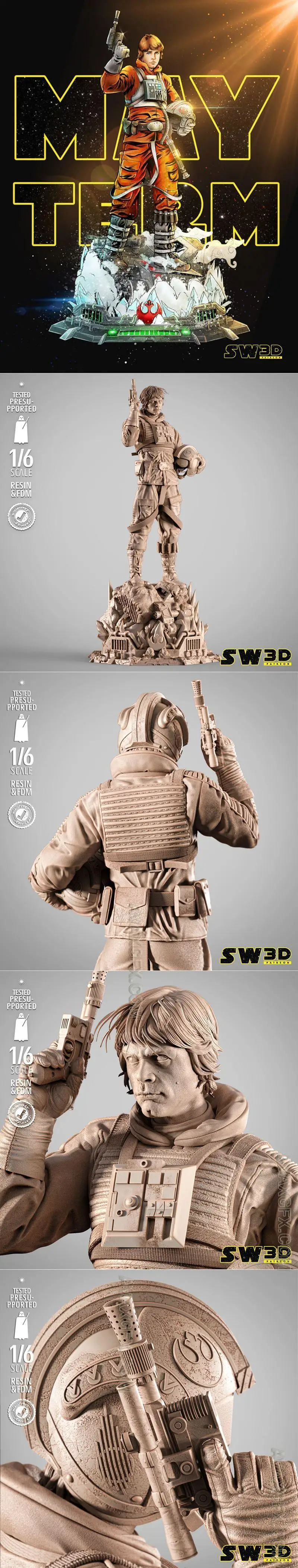 SW3D - Luke Pilot Sculpture - STL 3D Model
